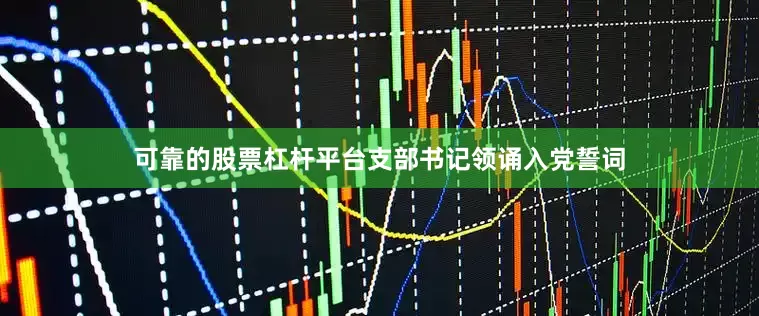 可靠的股票杠杆平台支部书记领诵入党誓词