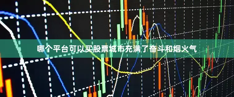 哪个平台可以买股票城市充满了奋斗和烟火气