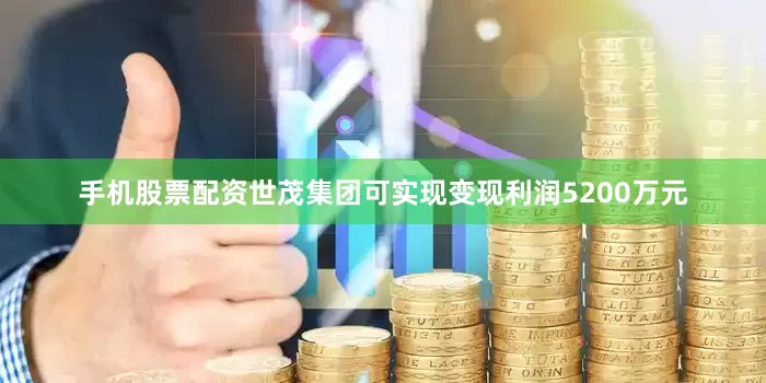 手机股票配资世茂集团可实现变现利润5200万元