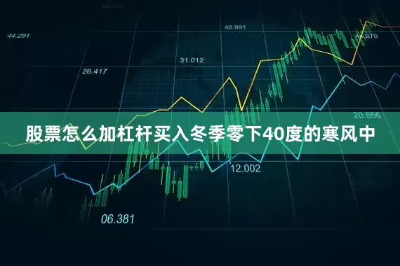 股票怎么加杠杆买入冬季零下40度的寒风中