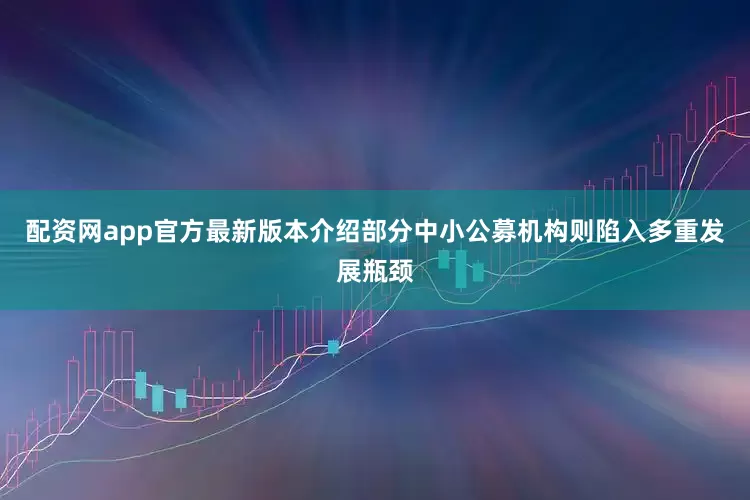 配资网app官方最新版本介绍部分中小公募机构则陷入多重发展瓶颈
