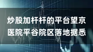炒股加杆杆的平台望京医院平谷院区落地据悉