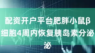 配资开户平台肥胖小鼠β细胞4周内恢复胰岛素分泌