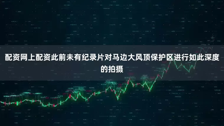 配资网上配资此前未有纪录片对马边大风顶保护区进行如此深度的拍摄